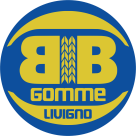 B.B. GOMME S.A.S. DI BORMOLINI MAURO E C.